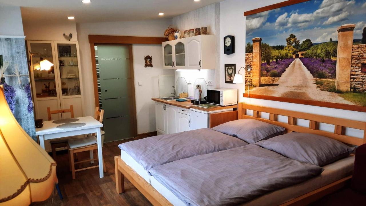 Apartman Za Kopcem Босковице Экстерьер фото