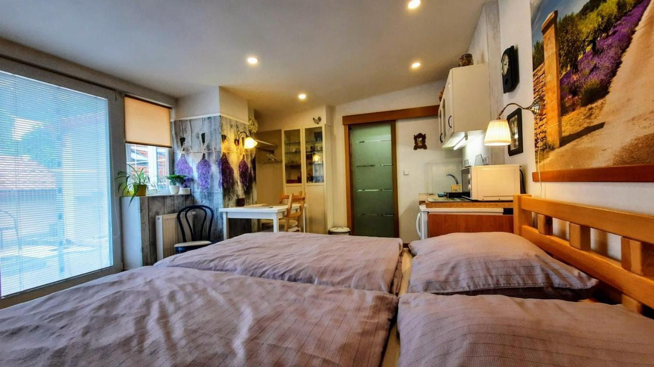 Apartman Za Kopcem Босковице Экстерьер фото