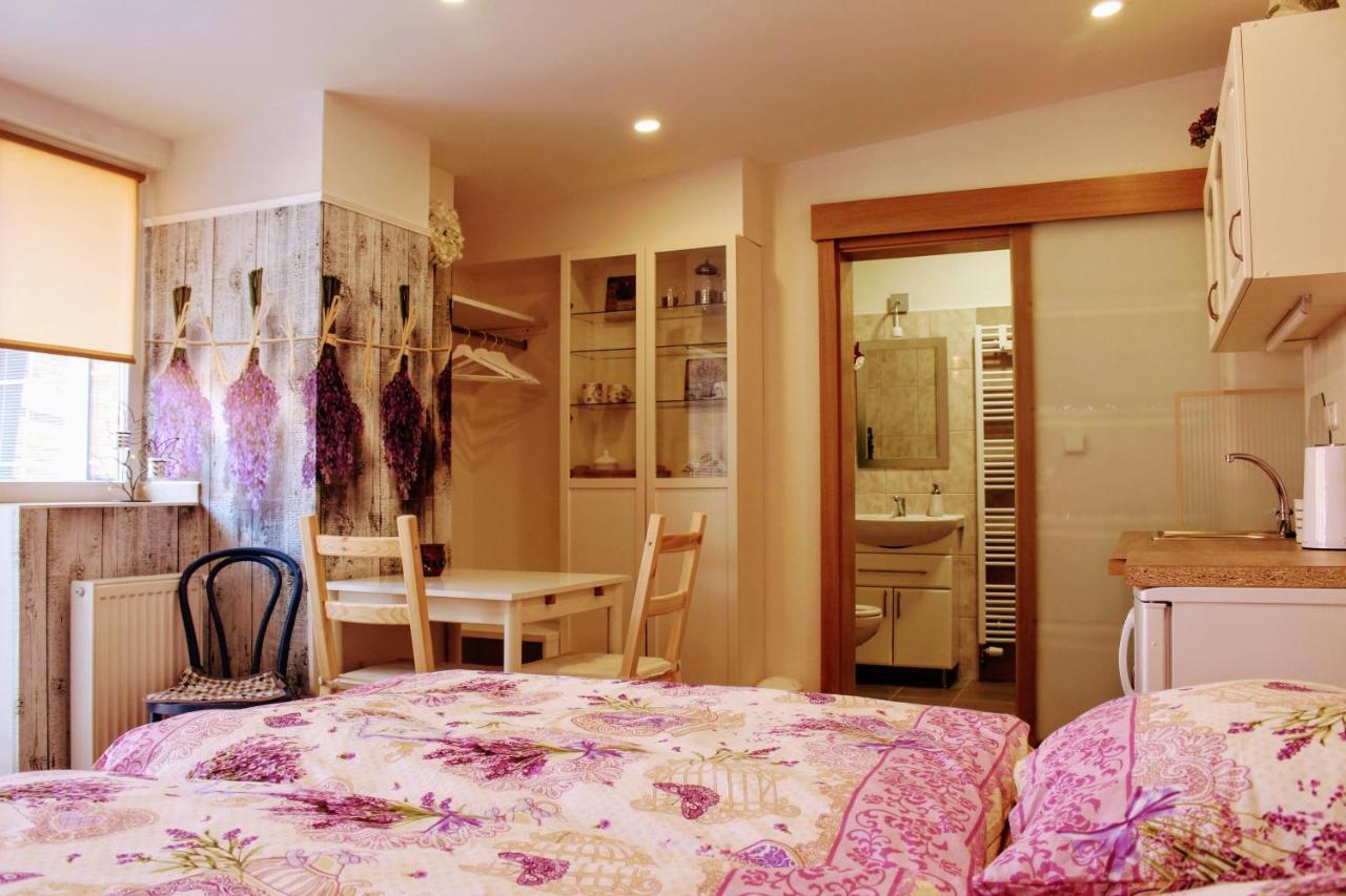Apartman Za Kopcem Босковице Экстерьер фото